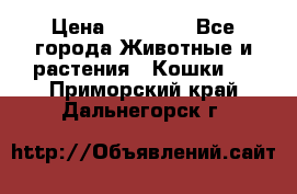 Zolton › Цена ­ 30 000 - Все города Животные и растения » Кошки   . Приморский край,Дальнегорск г.